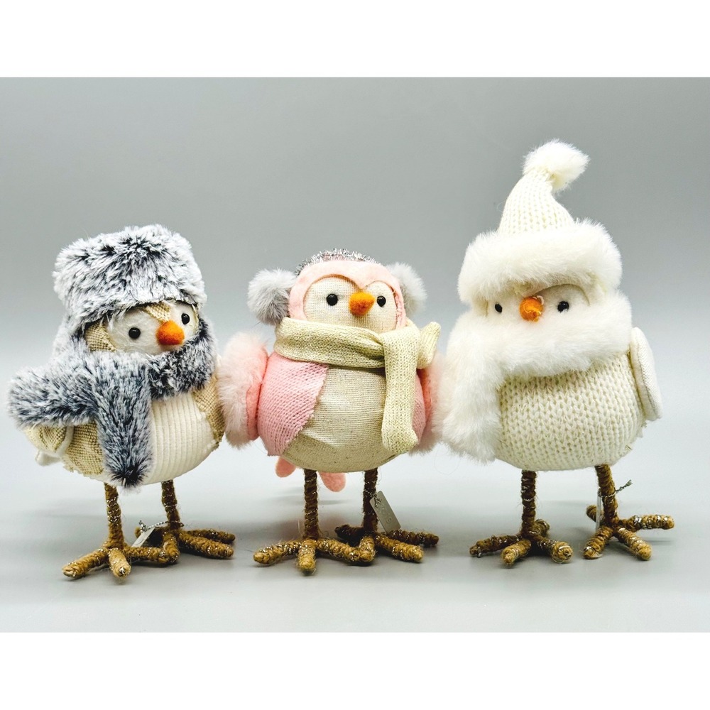 Target Spritz Featherly Friends Birds Rue Yarrow Pepper 2019 Set of 3 Winter